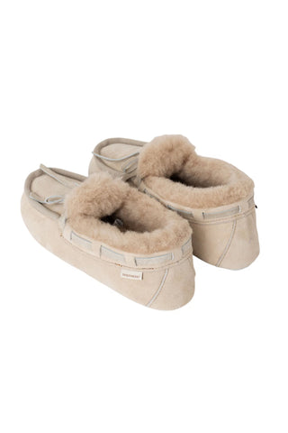 Daisy slippers, honey