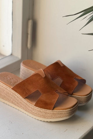 Serra paksupohjaiset pistokkaat, camel